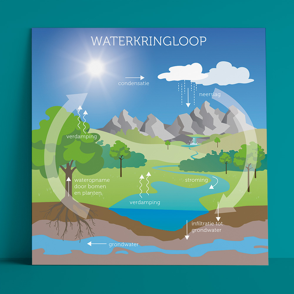 iillustratie dwarsdoorsnede watercyclus Firm of the Future • Jeanne Design • infographic of dwarsdoorsnede laten maken