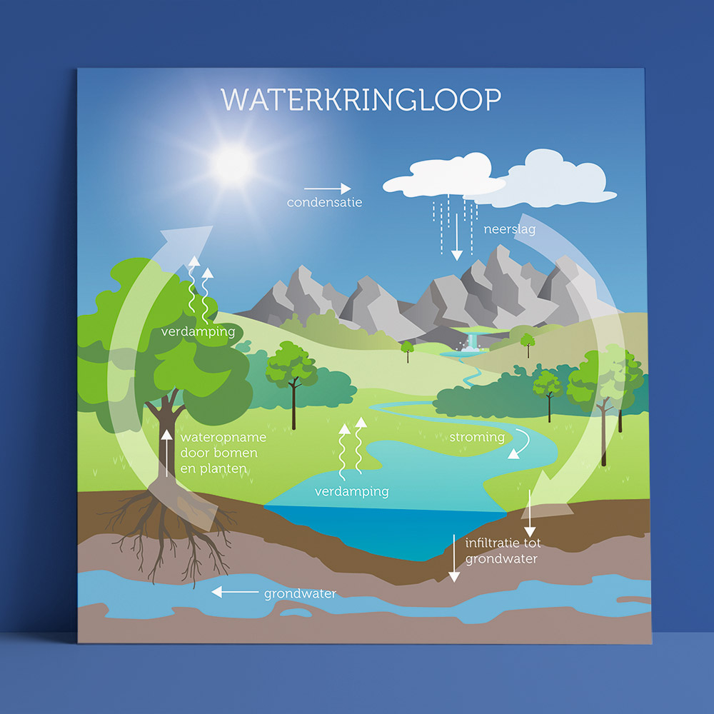 iillustratie dwarsdoorsnede watercyclus Firm of the Future • Jeanne design • infographic of dwarsdoorsnede laten maken