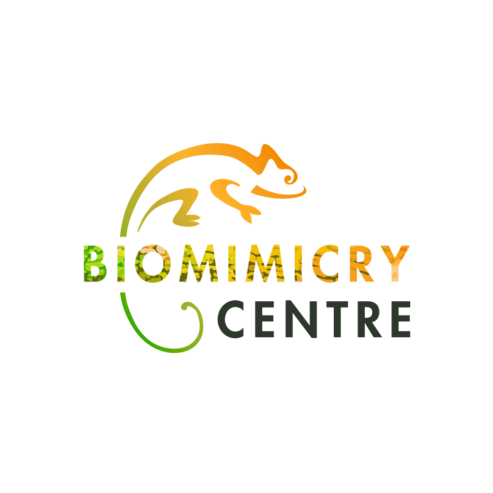 logo ontwerp Biomimicry Centre • Jeanne Design • logo laten ontwerpen Arnhem