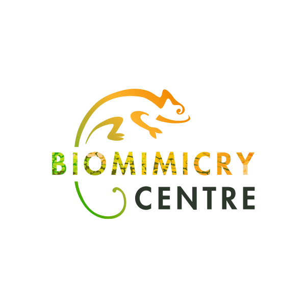 logo ontwerp Biomimicry Centre • Jeanne design • logo laten ontwerpen Arnhem