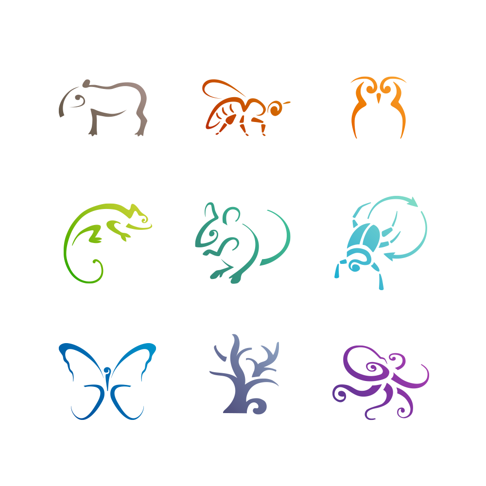 illustratie pictogrammen Biomimicry Centre • Jeanne design • pictogrammen laten ontwerpen