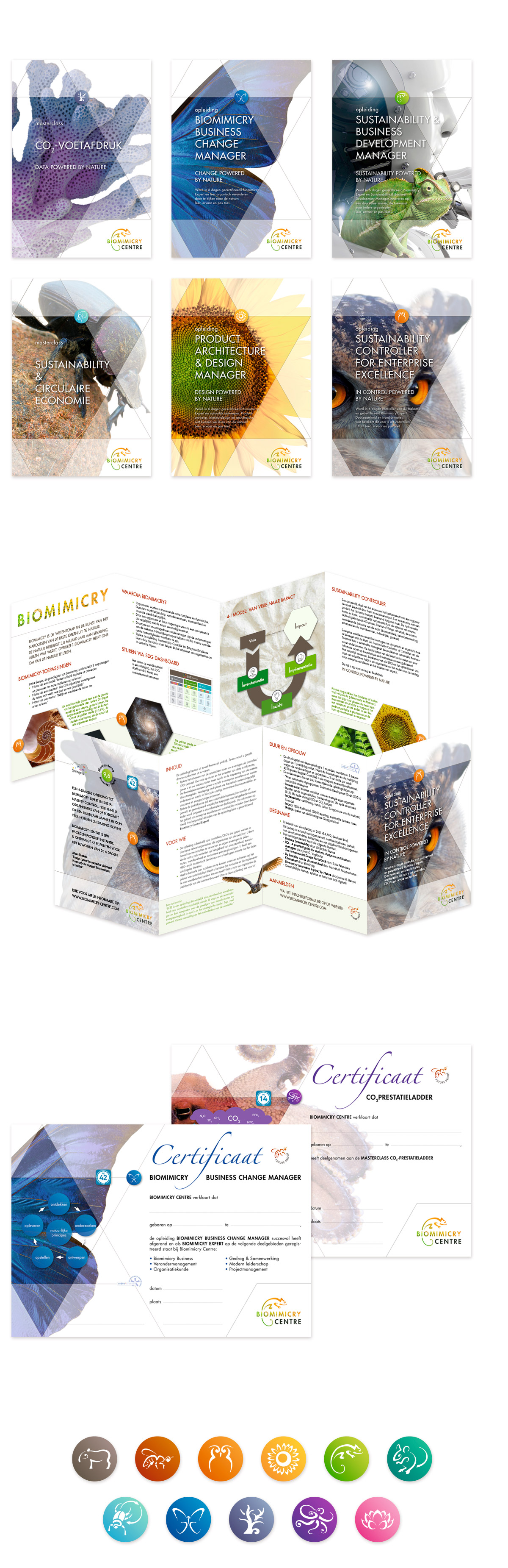 Biomimicry Centre • grafisch  ontwerp folders Jeanne Melchels