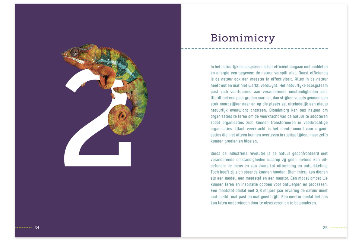 vormgeving boek 'Firm of the Future 3.8' • Jeanne | ontwerp & illustratie