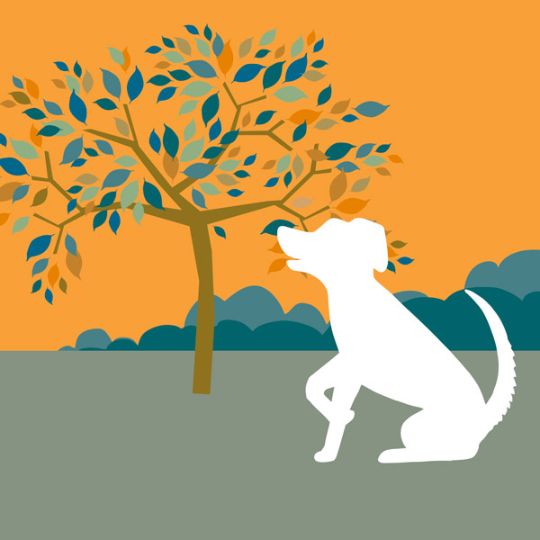 ontwerp logo en huisstijl Ton's DOG service • Jeanne design